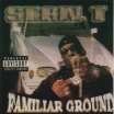 SEAN T / FAMILIAR GROUND